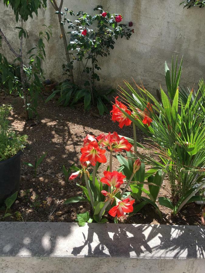 Casa Vacanza Demi Alcamo Marina Exteriör bild